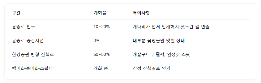 여의도 벚꽃축제
