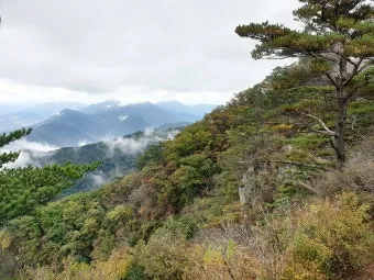 월악산 등산코스 상세 보덕암 영봉 덕주사 코스 완벽 가이드_22