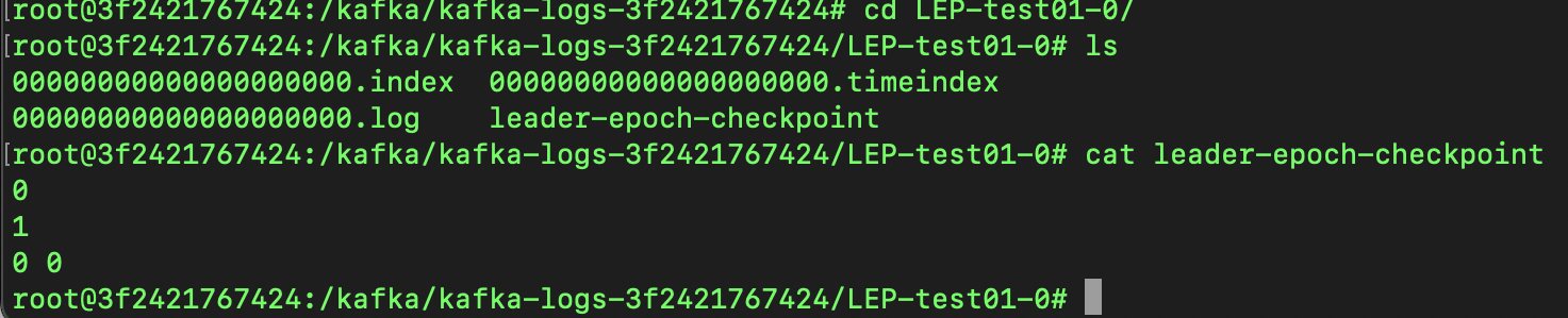 leader epoch checkpoint