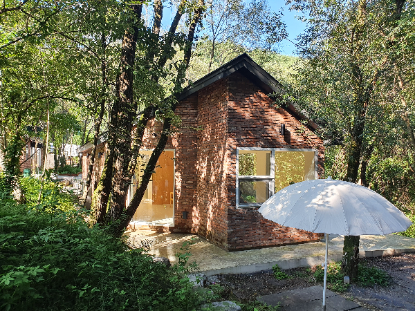 파라솔이 있는 외부