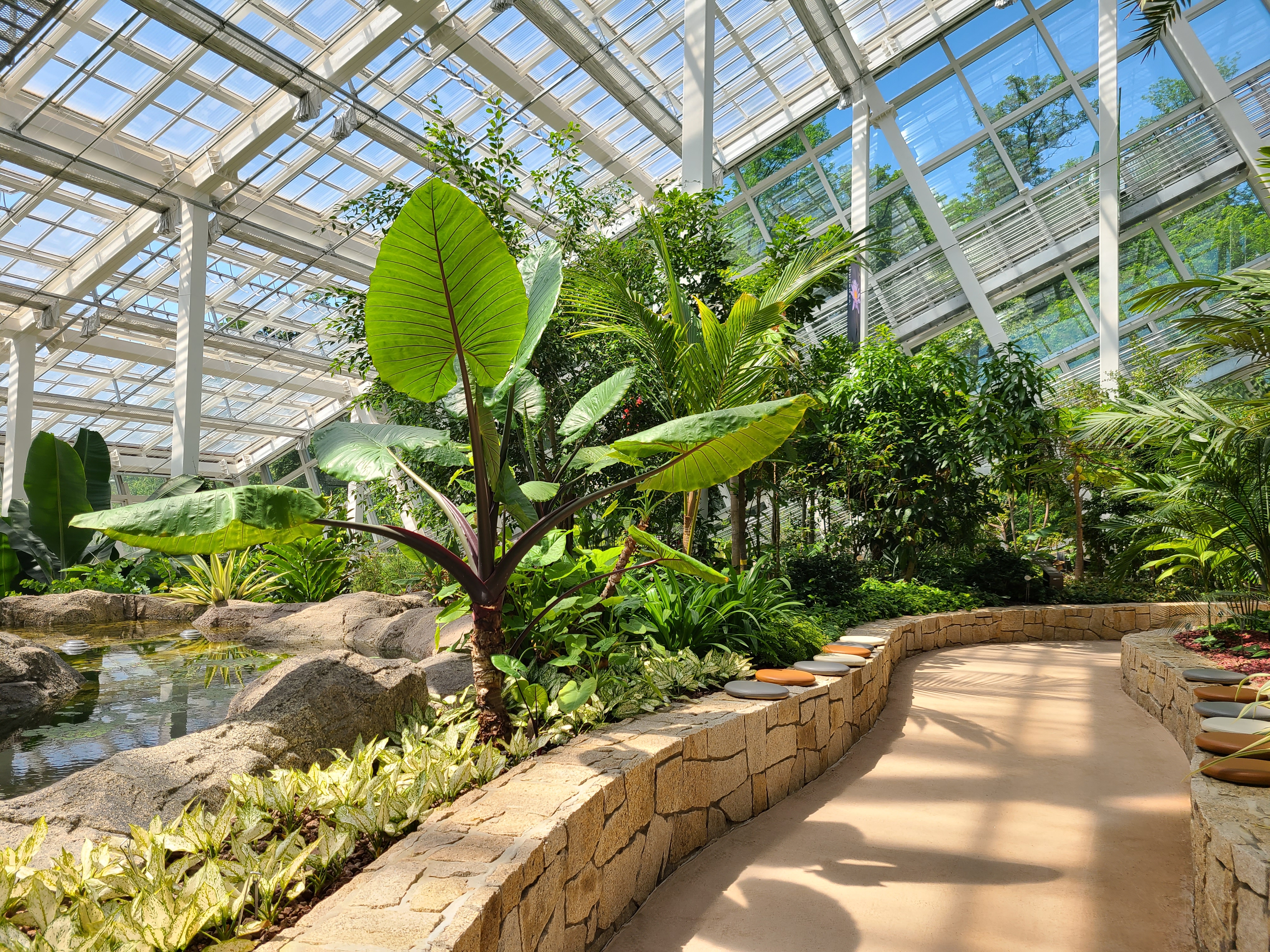 영흥공원 온실 내부