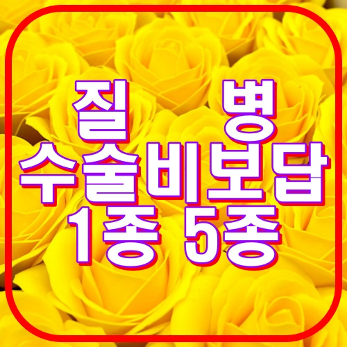 질병 수술비보답 1종5종