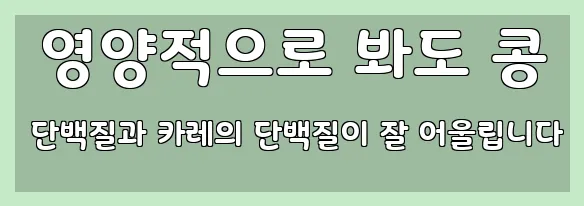  영양적으로 봐도 콩 단백질과 카레의 단백질이 잘 어울립니다
