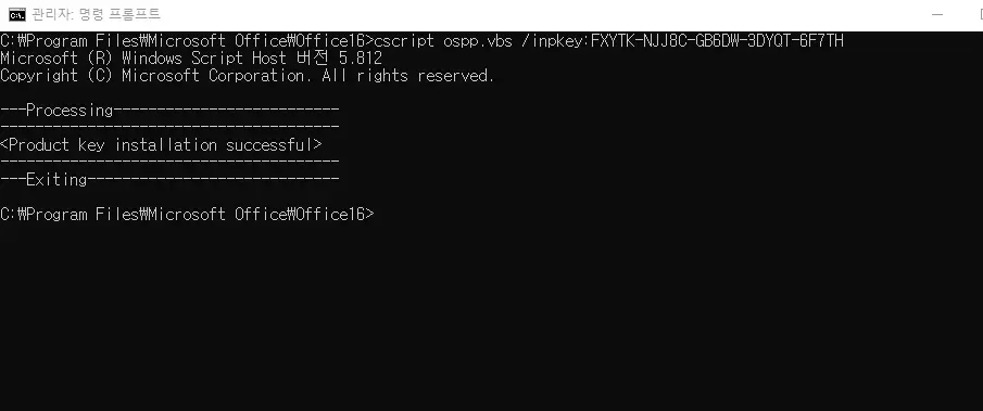MS오피스 2021 정품인증 CMD
