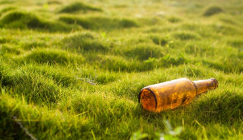 부산 센텀 맥주 축제