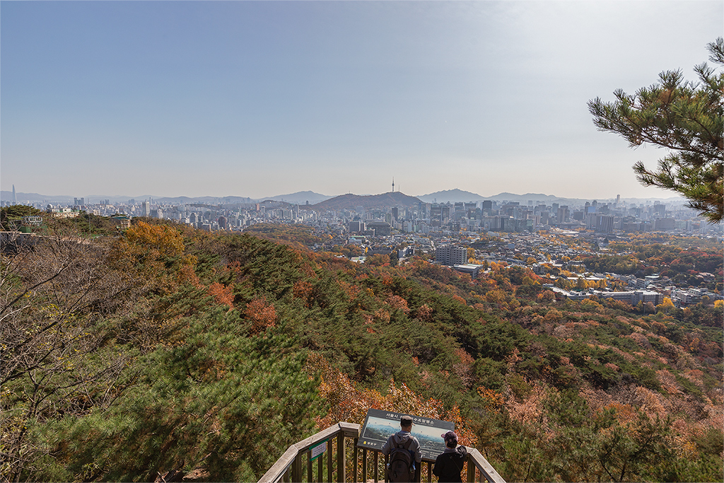 한양도성길
가을풍경
가을단풍
백악구간
서울여행
서울풍경
서울성곽길
청운대
말바위
숙정문