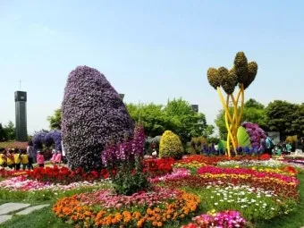 2025 고양국제꽃박람회 일정 사전예약 할인_9