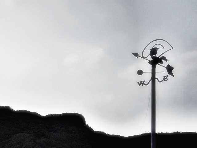 페덱스 배송 조회