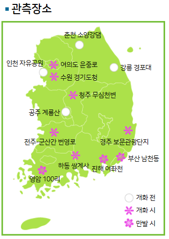 봄꽃-개화현황-확인하기