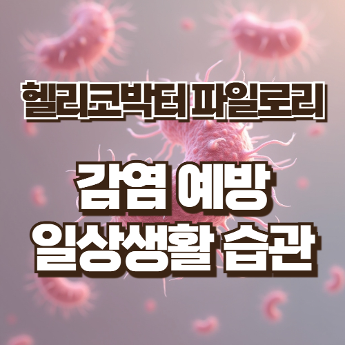 헬리코박터 감염예방