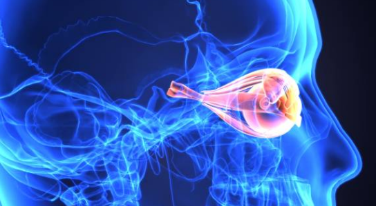 녹내장 초기증상, 실명 확률, 원인 총정리 (2024ver)