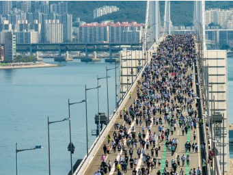 2024걷기대회 행사