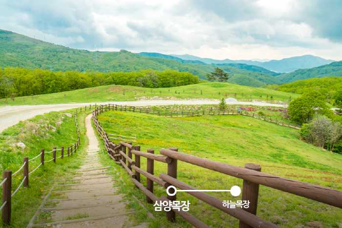 8월 국내 여행지 추천 베스트 