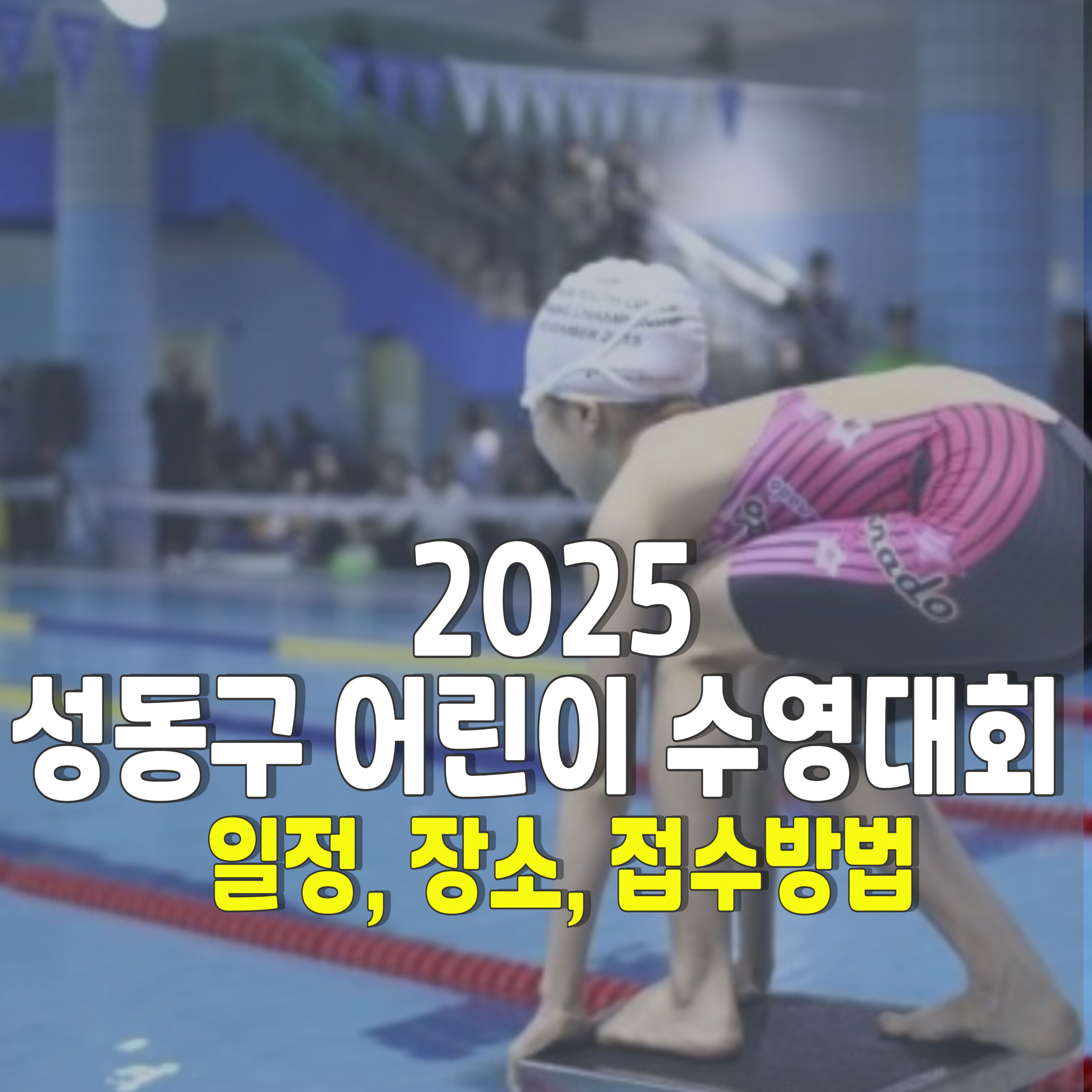 2025-성동구-어린이수영대회-1