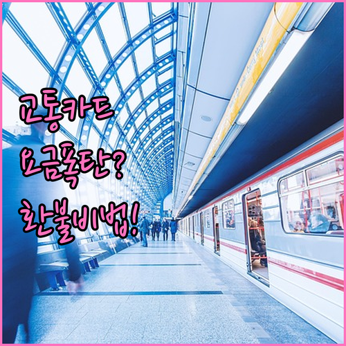 교통카드 요금 과다 청구 해결법과 버..