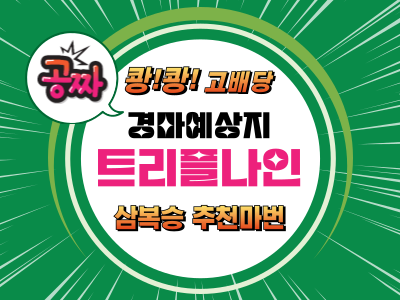 고배당 삼복승 추천마권 트리플나인 무료 경마예상지