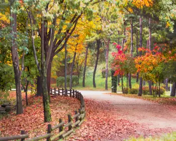 서울숲 공원 주차장6