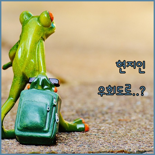 평창 월정사 진부 현지인 우회 도로 ..