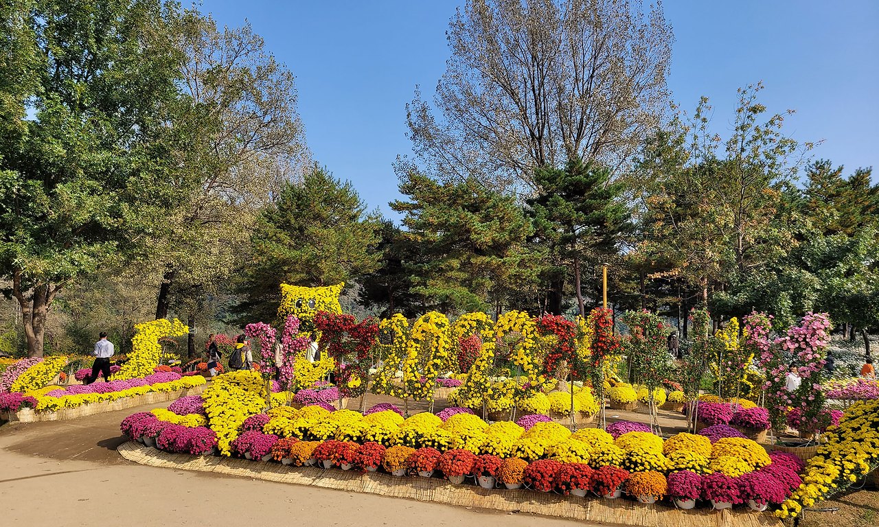 자라섬 꽃 페스타 Colorful Garden 총정리