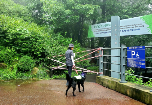 서울 반려견 순찰대
