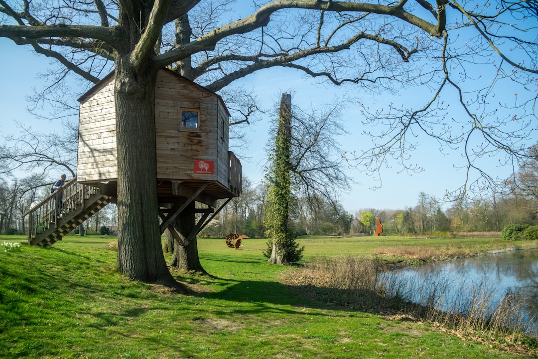 Treehouse
