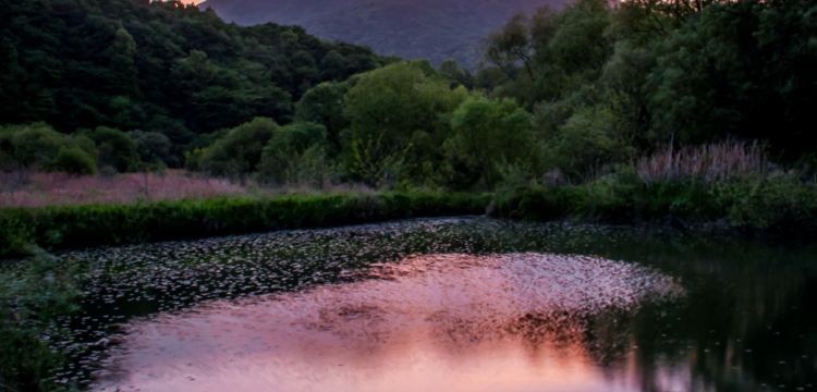 문경 돌리네습지