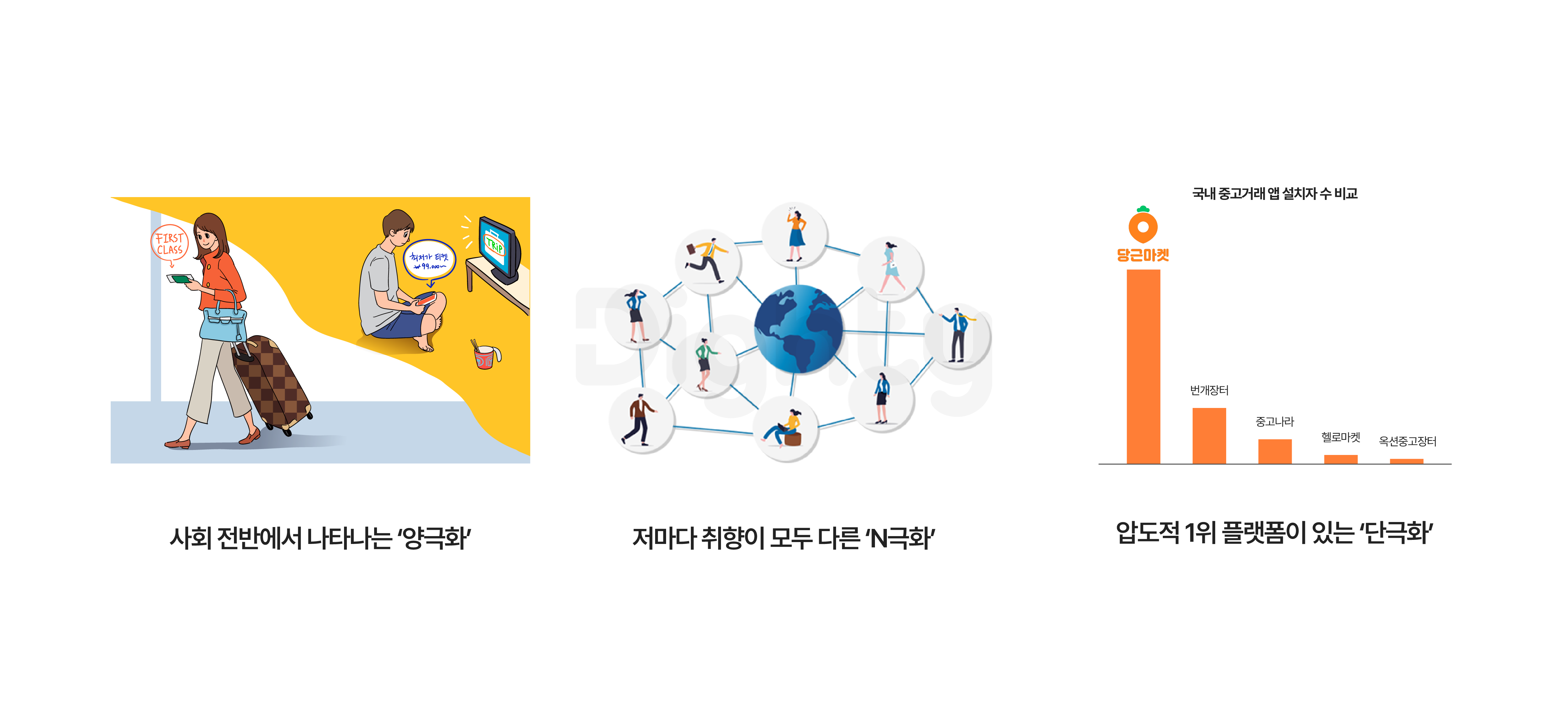 양극화, N극화, 단극화