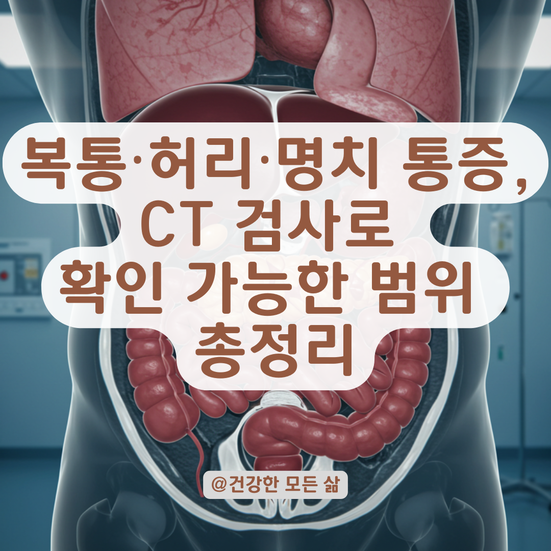 복통·허리·명치 통증이 반복된다면? CT 검사로 확인할 수 있는 범위 총정리.