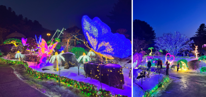 아침고요수목원 오색별빛정원전 특징