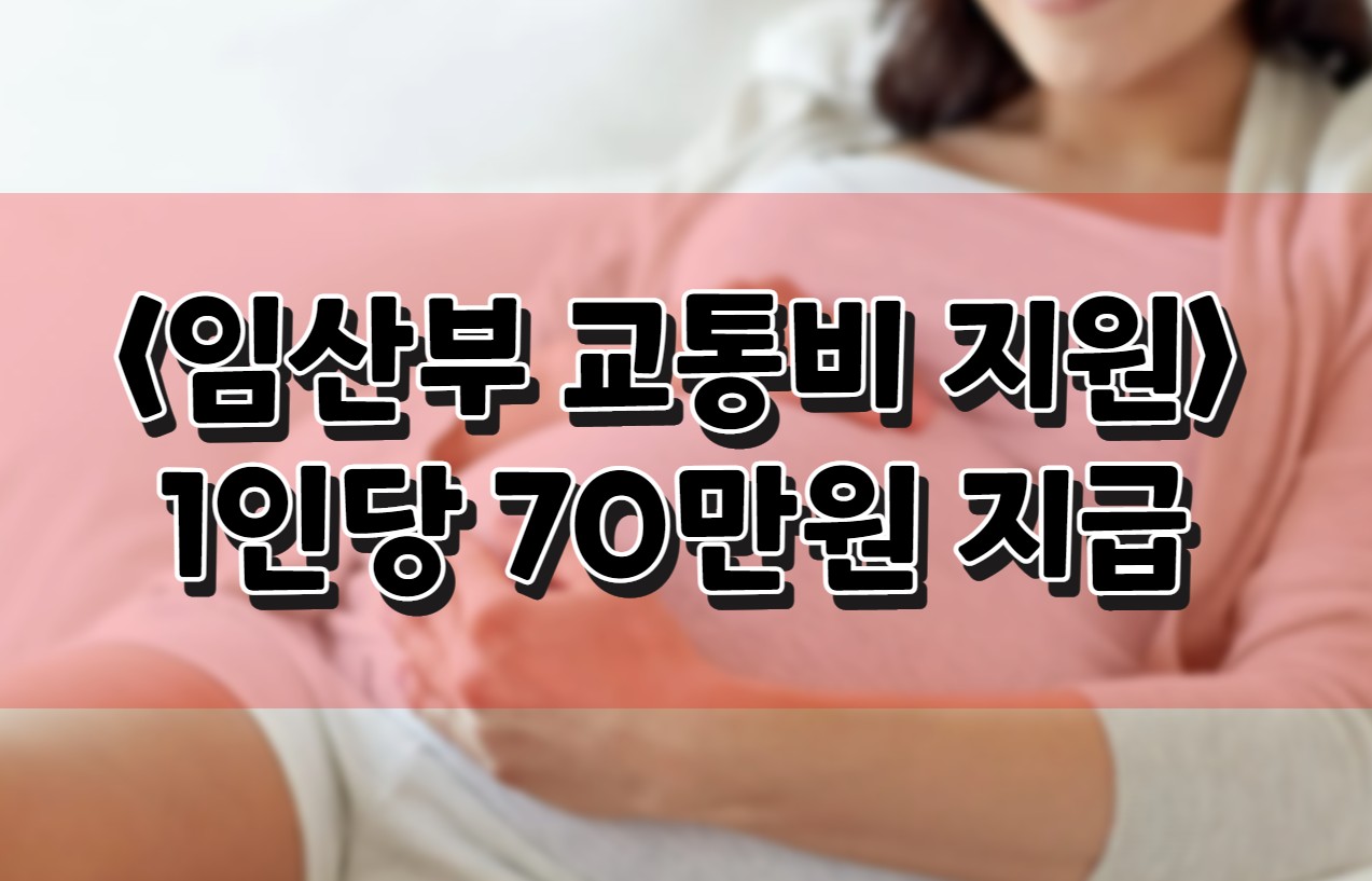 서울시-임산부-교통비-지원-신청