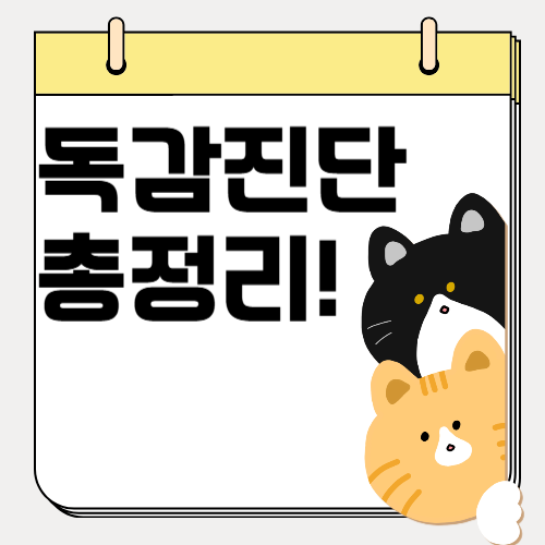 독감 검사와 진단 방법, 비용, 보험 적용 총정리