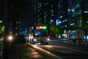 교통수단 버스
