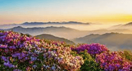 덕유산 국립공원 실시간 cctv