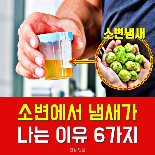 소변에서 냄새가 나는 이유 소변냄새 질병, 건강 팁줌