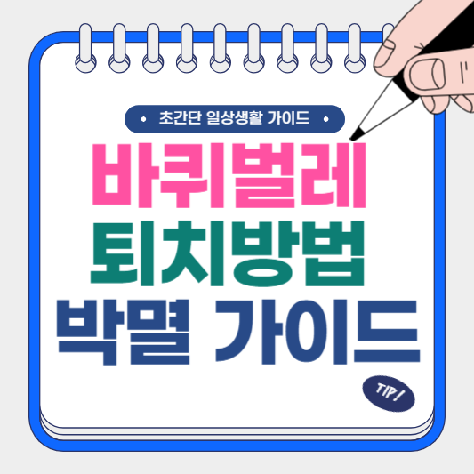 바퀴벌레 퇴치 방법 박멸 가이드