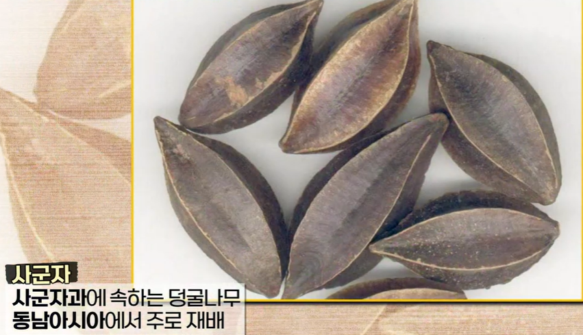 전립선사군자