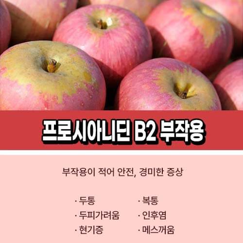 프로시아니딘_B2_부작용