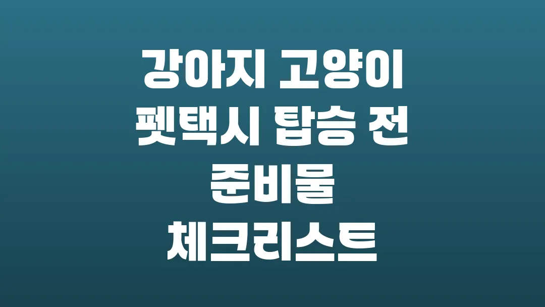 강아지 고양이 펫택시 탑승 전 준비물 체크리스트