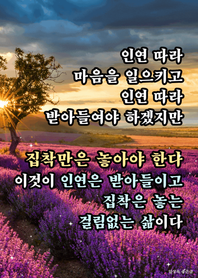 해질녘 라벤더 들판 풍경과 함께 '인연은 받아들이고 집착은 놓는 삶'에 대한 메시지