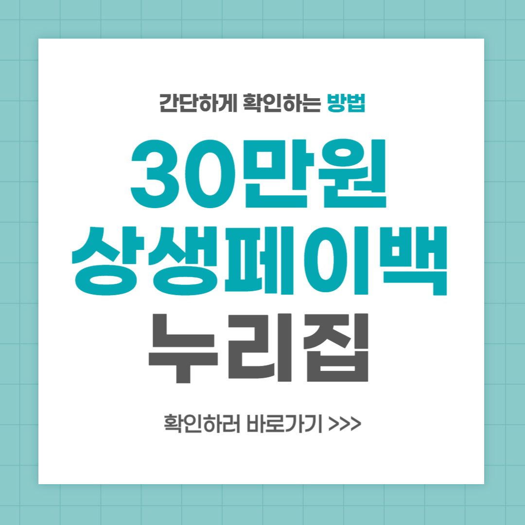2025년 상생페이백 누리집