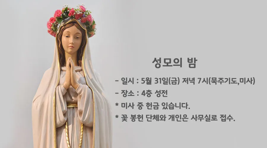 성모의 밤 의미 기도하는 방법_5
