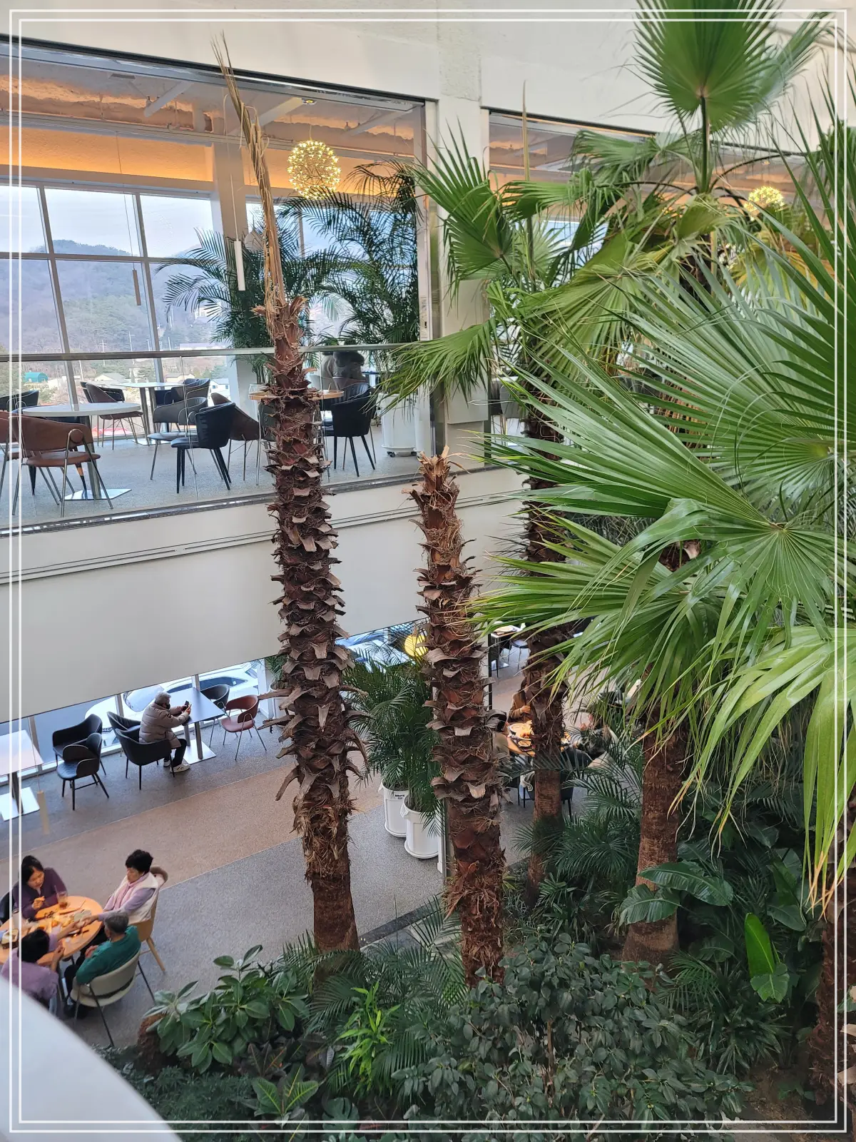 팜브릿지-3층-식물원