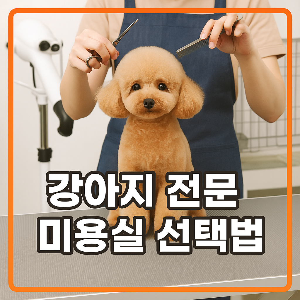 강아지 전문 미용실 선택법