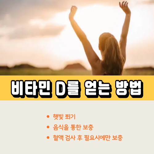 비타민 D를 얻는 방법