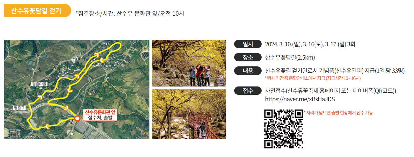 구례산수유꽃축제 산수유꽃담길걷기 안내