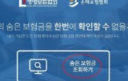 보험금 찾기