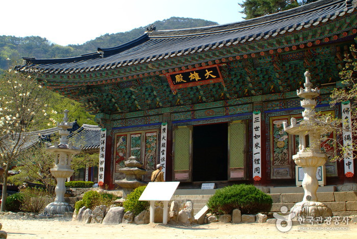 공주 가볼만한곳 베스트10