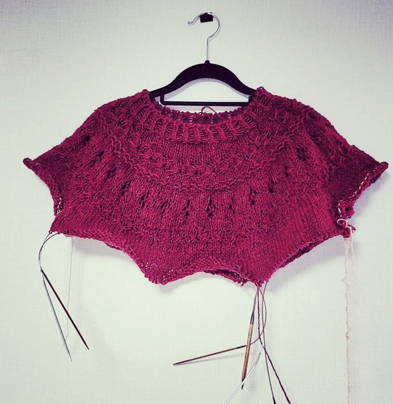 대바늘 뜨개옷 라넌큘러스