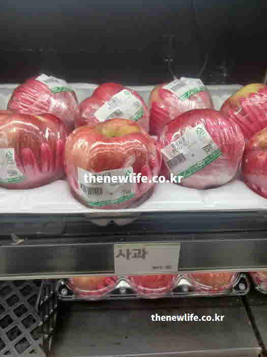 사과 효능 먹는 법 아침 공복