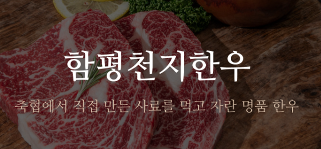 2025 함평 나비대축제